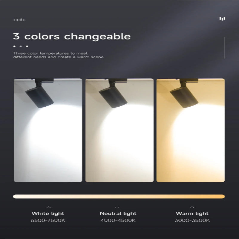 Linea Pro Track Spotlight