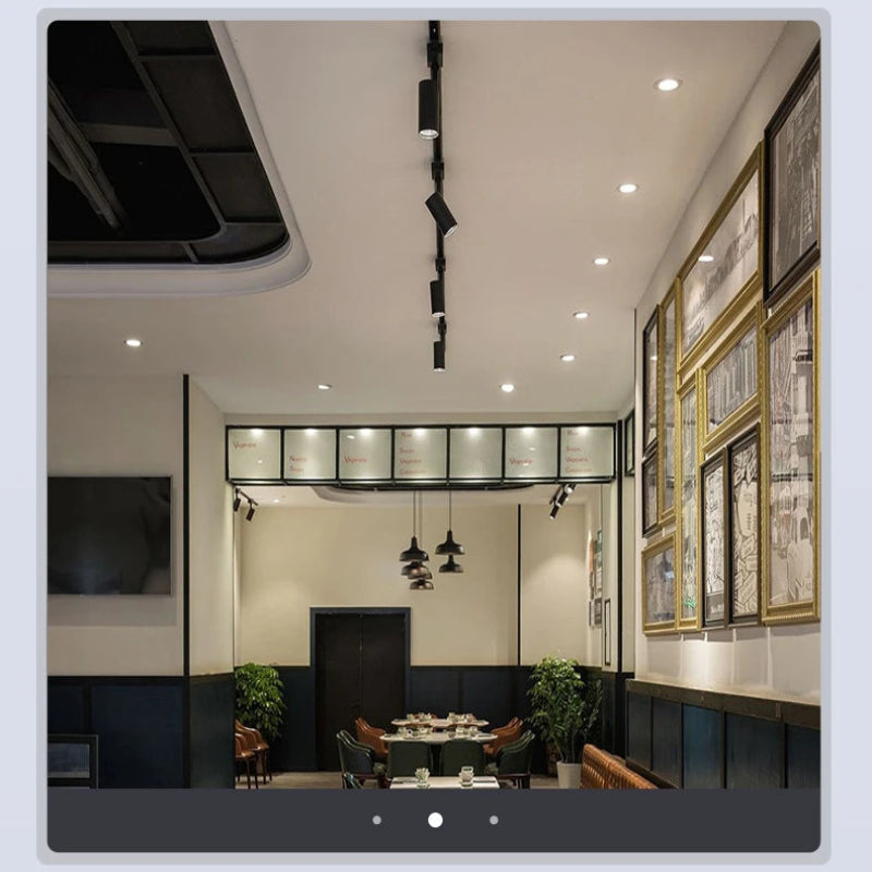 Linea Pro Track Spotlight