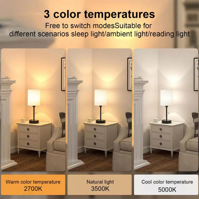 LumaPort Bedside Lamp