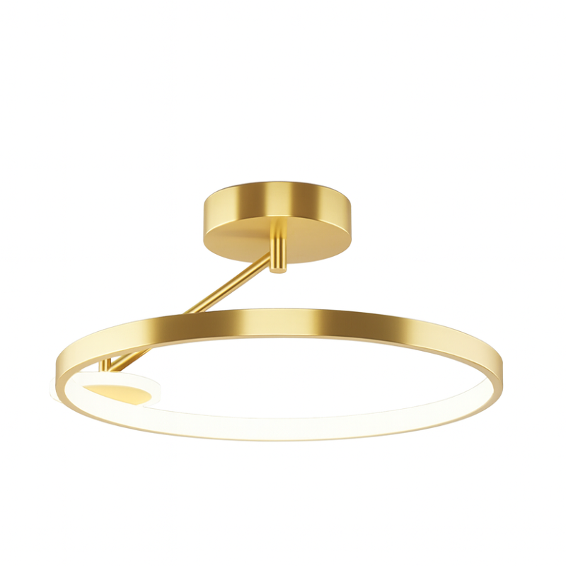 LemourX Circular Ceiling Light